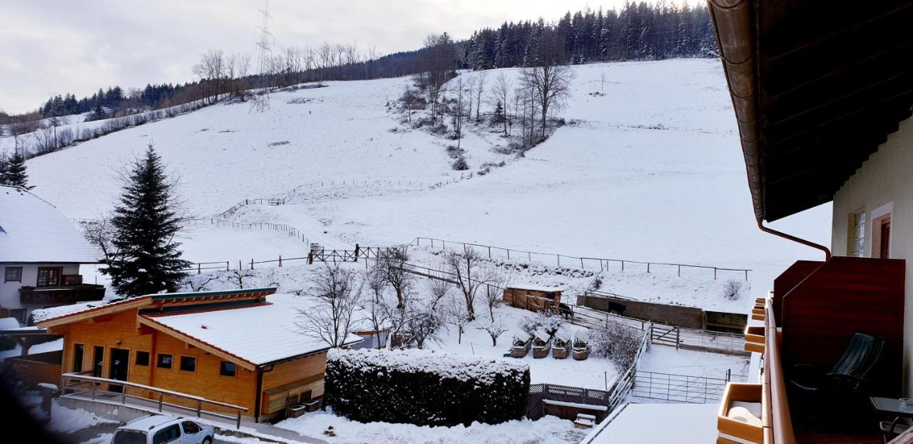 Hotel Hubertushof Trattenbach  Esterno foto