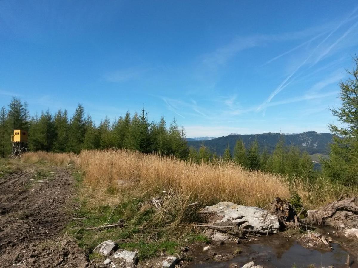 Hotel Hubertushof Trattenbach  Esterno foto