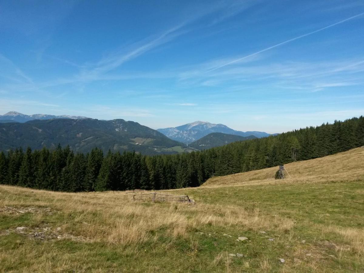 Hotel Hubertushof Trattenbach  Esterno foto